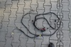 gal/AC/_thb_IMG_3723.jpg
